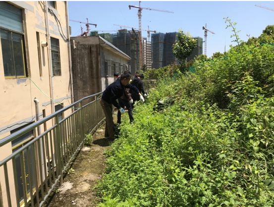 豪门国际 6b2a6
